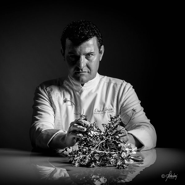 El chef David Ariza elabora tres recetas en exclusiva para Ofelia Kitchen.