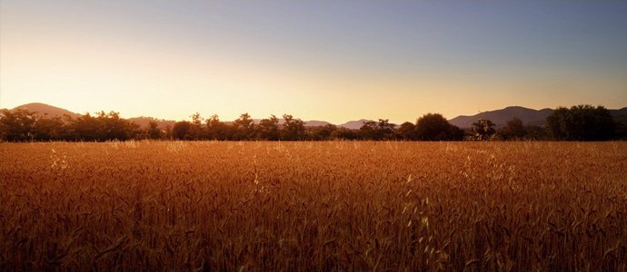 Terra Masía, from farm to table